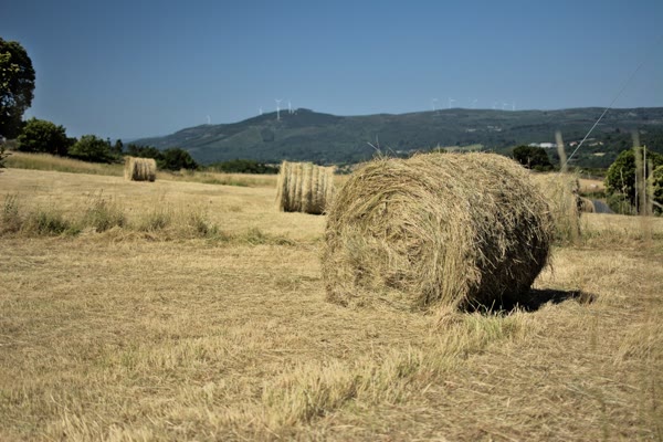 Galicia