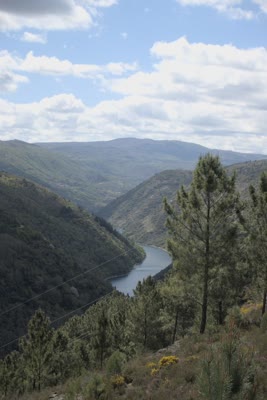 Ribeira Sacra