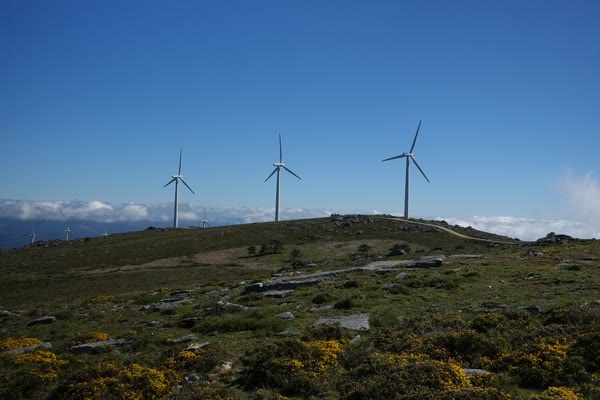 Wind power plant